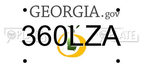 360LZA Georgia License Plate