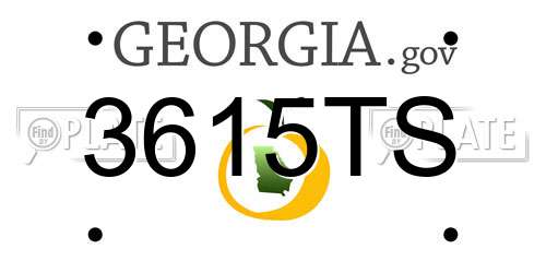 3615TS Georgia License Plate