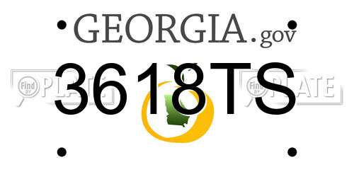 3618TS Georgia License Plate