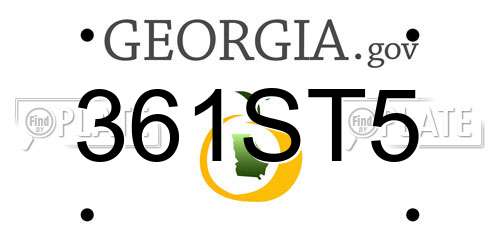 361ST5 Georgia License Plate