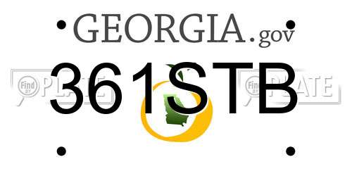 361STB Georgia License Plate