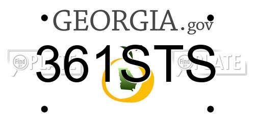 361STS Georgia License Plate