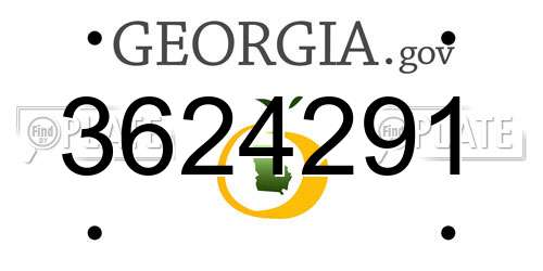 3624291 Georgia License Plate
