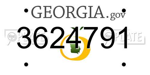 3624791 Georgia License Plate