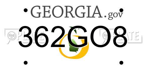 362GO8 Georgia License Plate