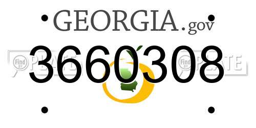 3660308 Georgia License Plate