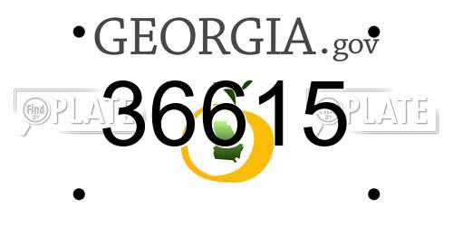 36615 Georgia License Plate