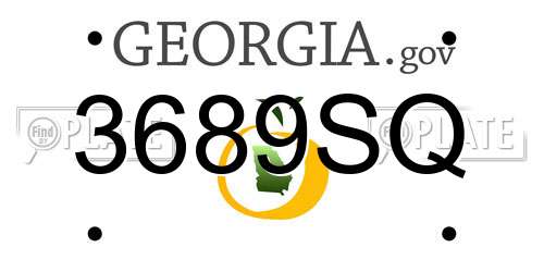 3689SQ Georgia License Plate