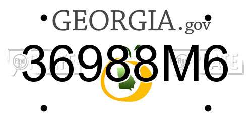36988M6 Georgia License Plate