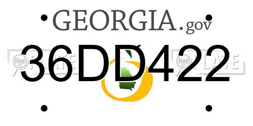 36DD422 Georgia License Plate