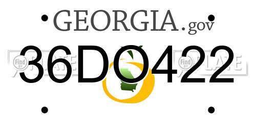 36DO422 Georgia License Plate