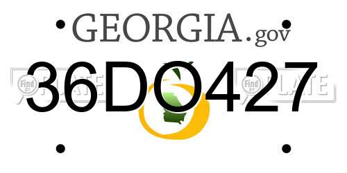 36DO427 Georgia License Plate