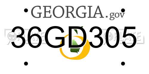 36GD305 Georgia License Plate