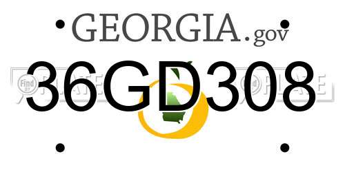 36GD308 Georgia License Plate