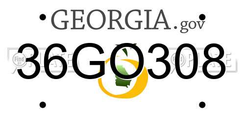 36GO308 Georgia License Plate