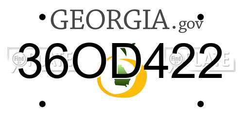 36OD422 Georgia License Plate