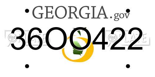 36OO422 Georgia License Plate