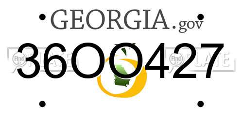 36OO427 Georgia License Plate