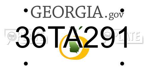 36TA291 Georgia License Plate