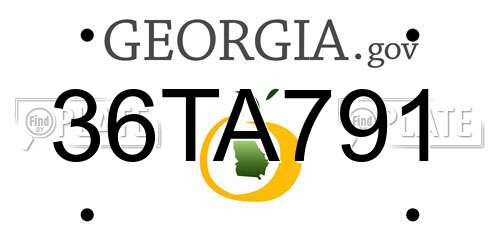 36TA791 Georgia License Plate