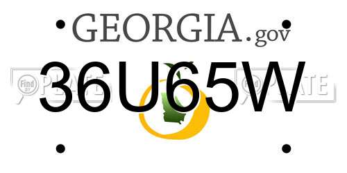 36U65W Georgia License Plate