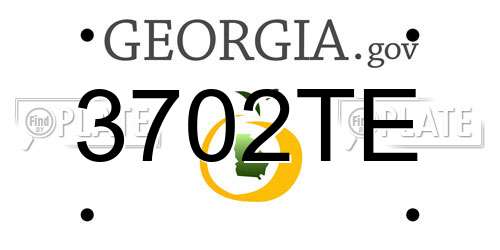 3702TE Georgia License Plate