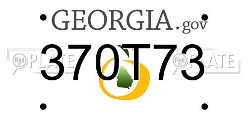 370T73 Georgia License Plate