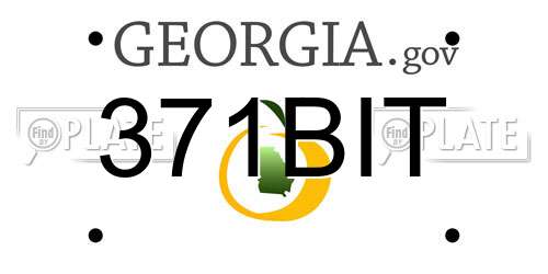 371BIT Georgia License Plate