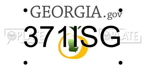 371ISG Georgia License Plate