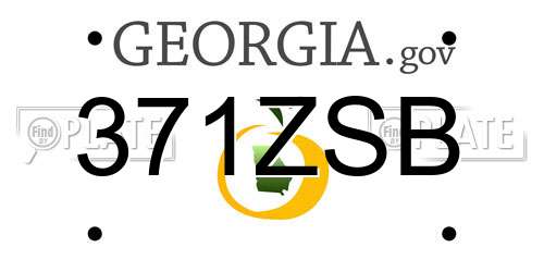 371ZSB Georgia License Plate