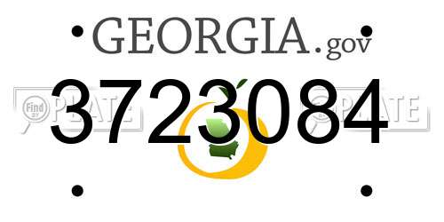 3723084 Georgia License Plate