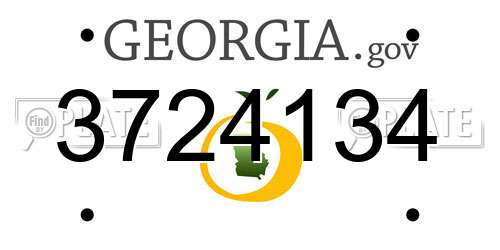 3724134 Georgia License Plate