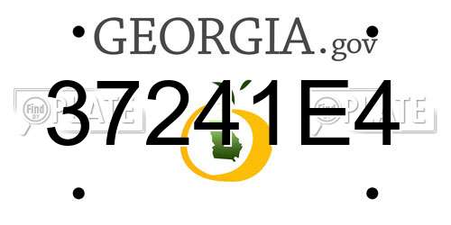 37241E4 Georgia License Plate