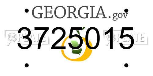 3725015 Georgia License Plate