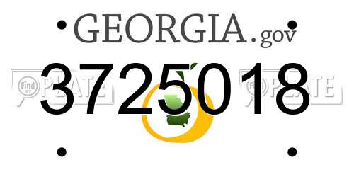 3725018 Georgia License Plate