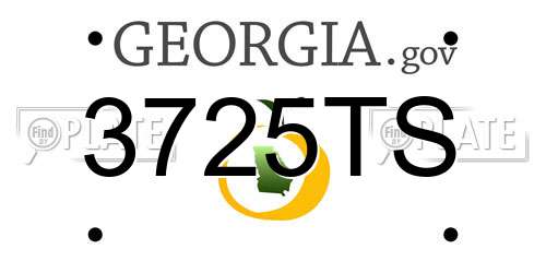 3725TS Georgia License Plate