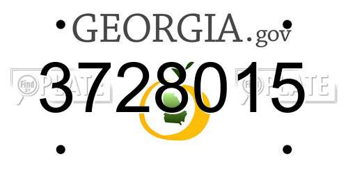 3728015 Georgia License Plate