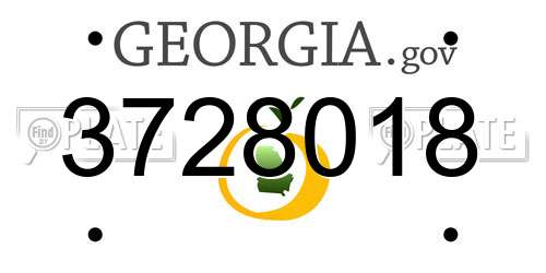 3728018 Georgia License Plate