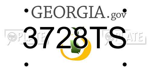3728TS Georgia License Plate