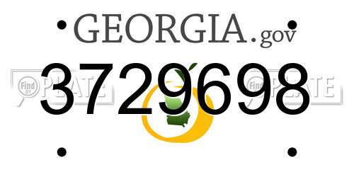 3729698 Georgia License Plate
