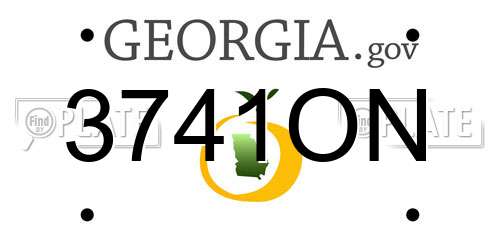 3741ON Georgia License Plate