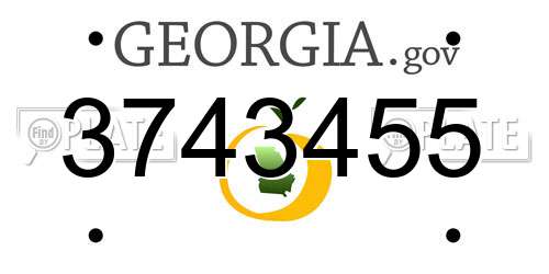 3743455 Georgia License Plate