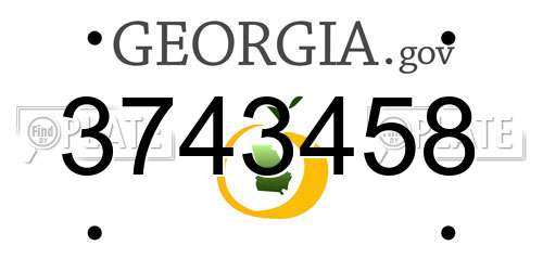 3743458 Georgia License Plate