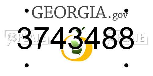 3743488 Georgia License Plate