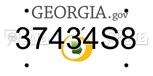 37434S8 Georgia License Plate