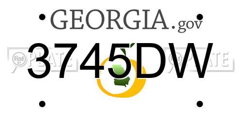 3745DW Georgia License Plate