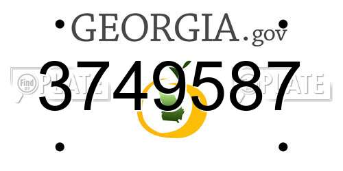 3749587 Georgia License Plate