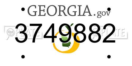 3749882 Georgia License Plate