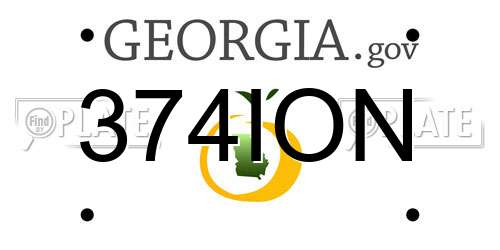 374ION Georgia License Plate