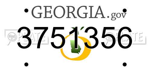 3751356 Georgia License Plate